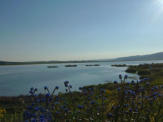 Zara -Tödürge Gölü (2).jpg
